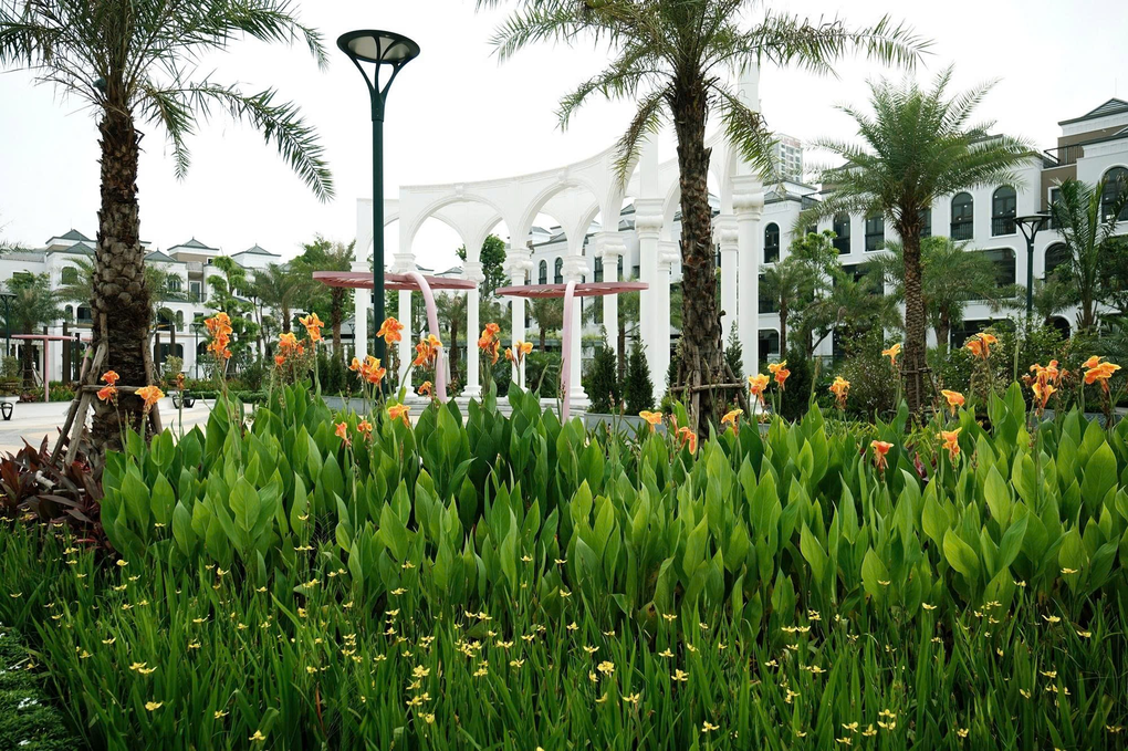 GIA22 - GIA by KITA được cấp sổ đỏ toàn khu, tung chính sách ưu đãi mới từ tháng 8 - 2